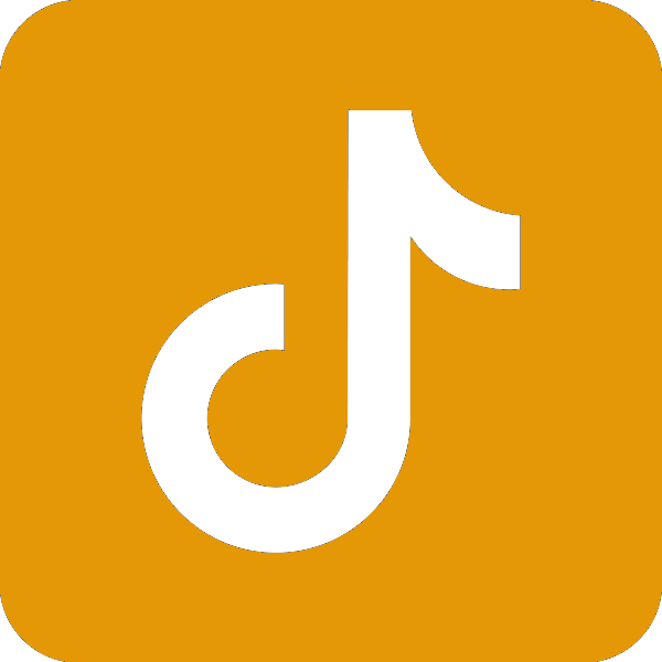 Tik Tok Icon
