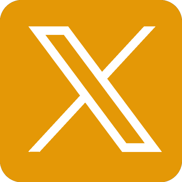 X Icon